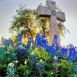 Meet your Posher, Carolyn